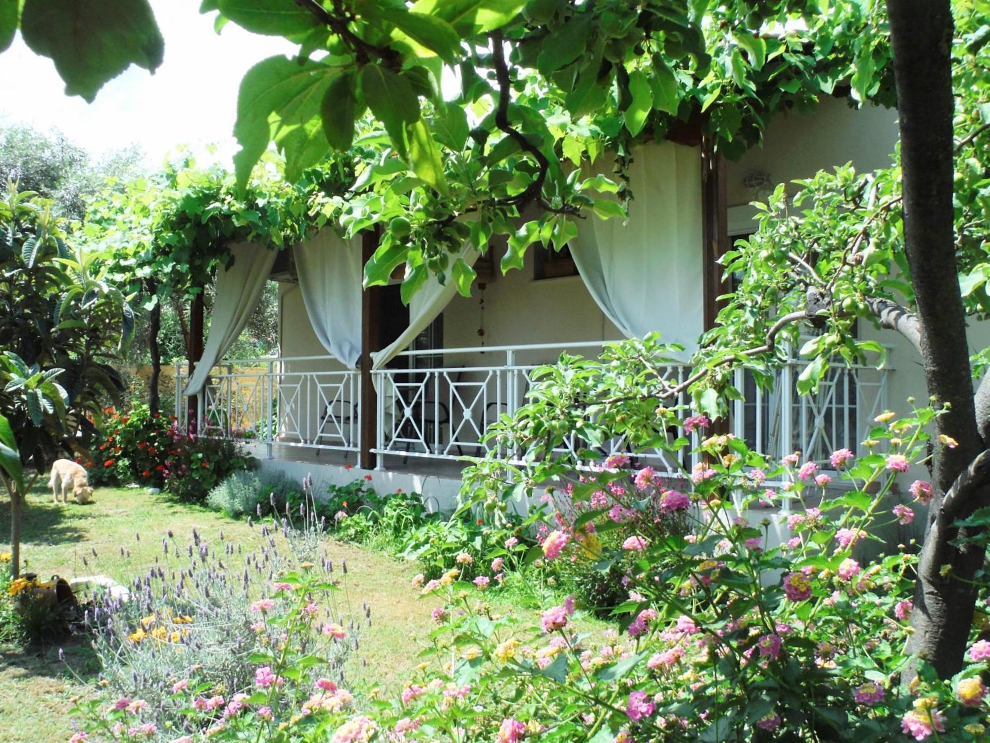 Port Rooms Limenas  Ngoại thất bức ảnh