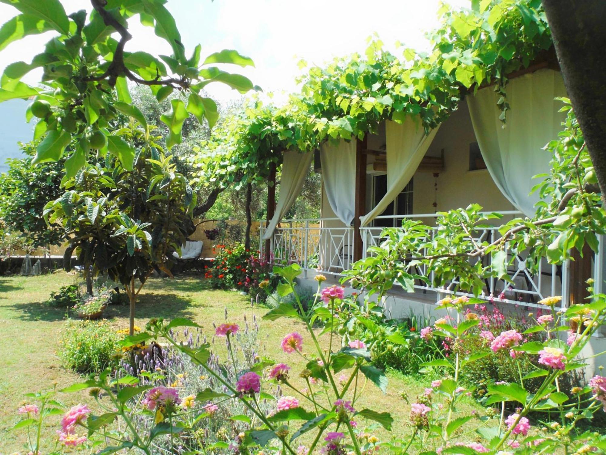 Port Rooms Limenas  Ngoại thất bức ảnh